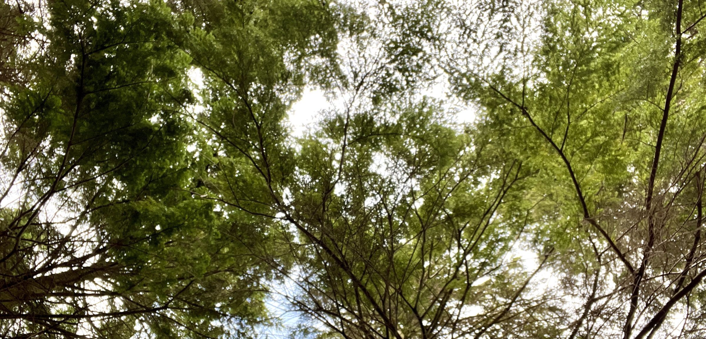 The importance of sustainability